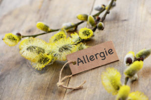 allergie_startseite02